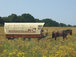 Pferdecaravan